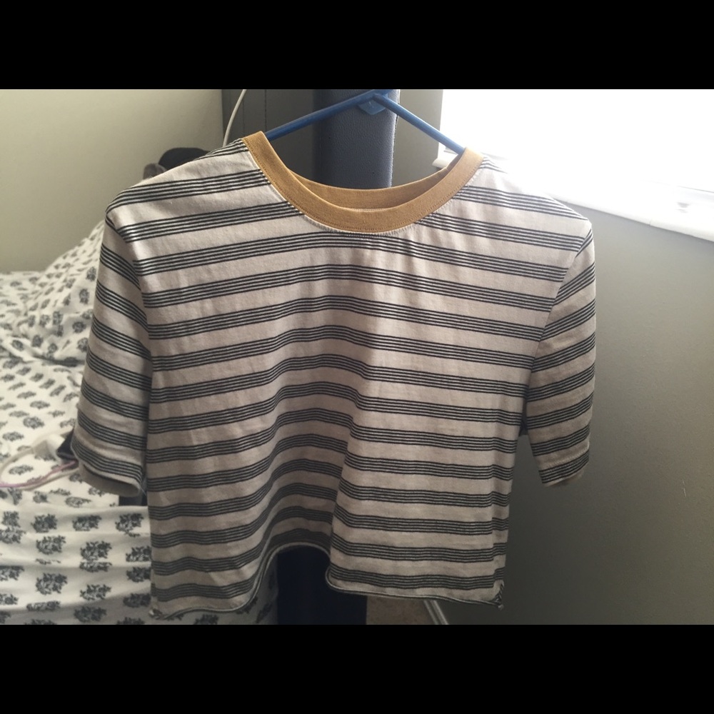 Brixton crop top